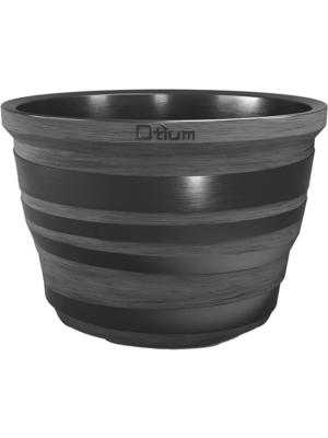 Lignum Anthracite