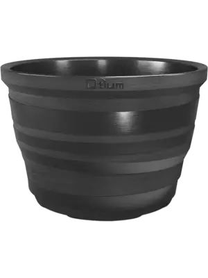 Lignum Black