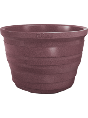 Lignum Violet Cork