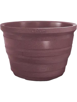 Lignum Violet Cork