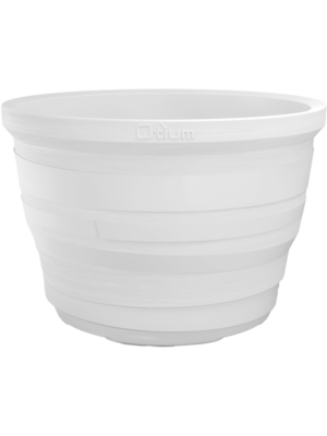 Lignum White