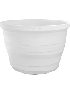 Lignum White