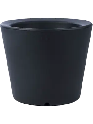 Olla Anthracite