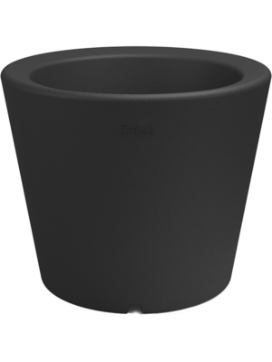 Olla Black