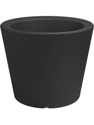 Olla Black