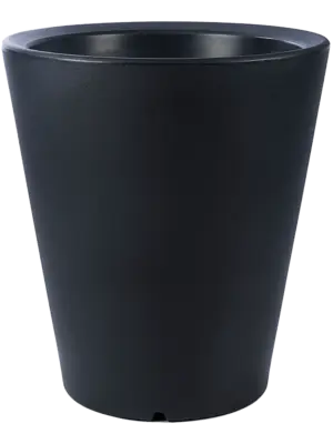 Olla Anthracite