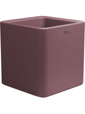 Quadris Violet Cork