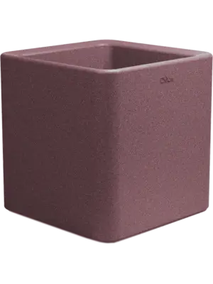 Quadris Violet Cork