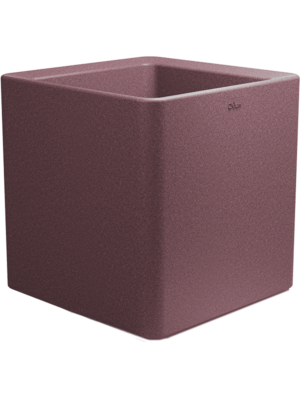 Quadris Violet Cork