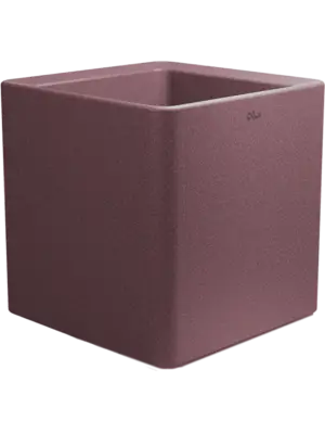 Quadris Violet Cork