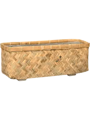 Nouri S Bamboo
