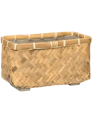 Nouri XS Bamboo