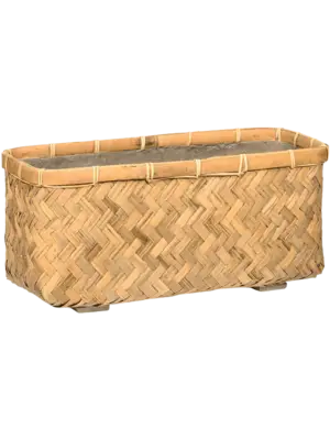 Nouri M Bamboo