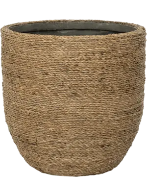 Cody XS Straw Grass