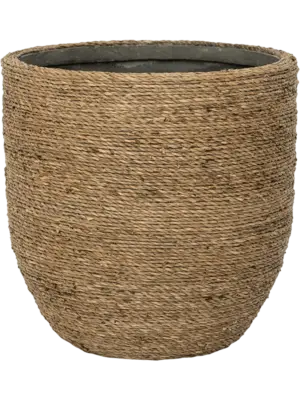 Cody M Straw Grass