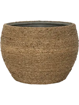 Abby M Straw Grass