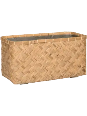Rafi S Bamboo