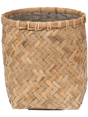 Zayn XXXS Bamboo