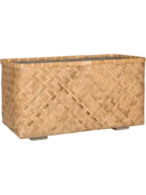 Rafi M Bamboo