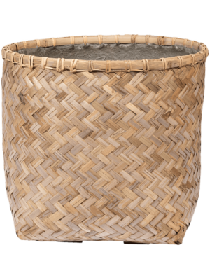 Zayn XS Bamboo