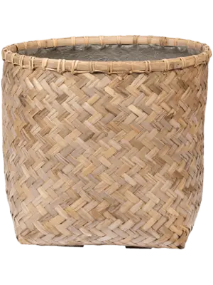 Zayn XS Bamboo