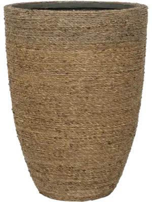 Ben L Straw Grass