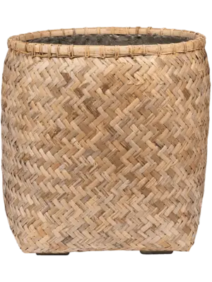 Zayn M Bamboo