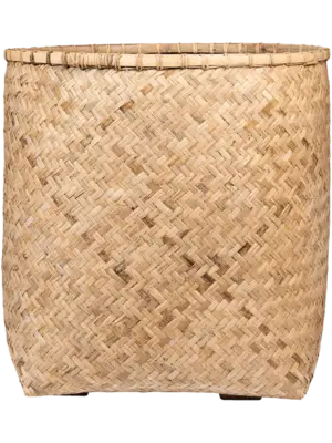 Zayn XL Bamboo