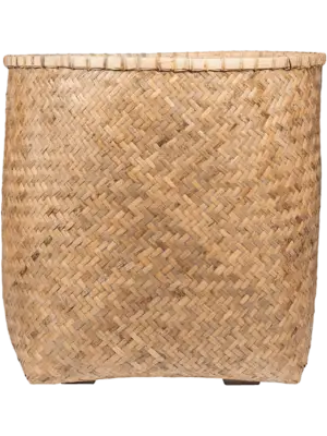Zayn XXL Bamboo