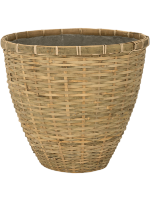 Diego S Bamboo