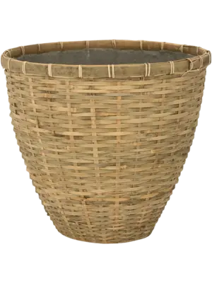 Diego S Bamboo