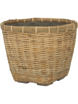 Enrico M Bamboo