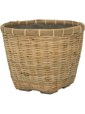 Enrico M Bamboo