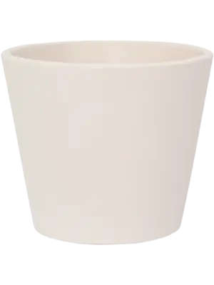 Inez S Vanilla White