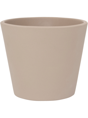 Inez S Funghi Beige