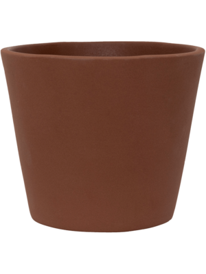 Inez S Peacan Brown