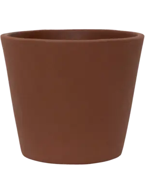 Inez S Peacan Brown