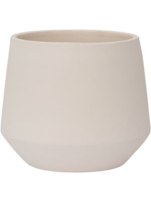 Julia S Vanilla White