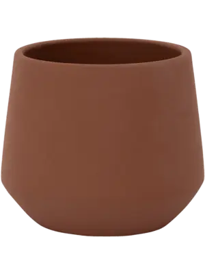 Julia XS Peacan Brown