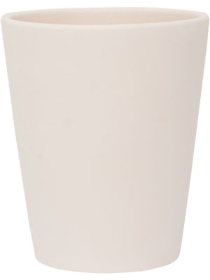 Rosa M Vanilla White