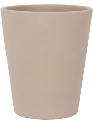 Rosa M Funghi Beige