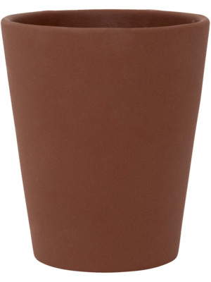 Rosa M Peacan Brown