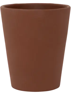 Rosa M Peacan Brown