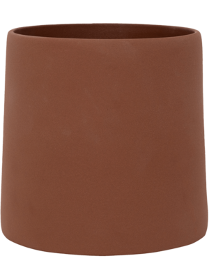 Sofia M Peacan Brown