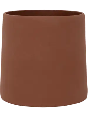 Sofia M Peacan Brown