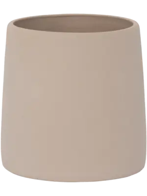 Sofia S Funghi Beige