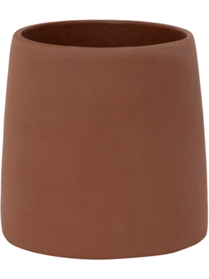 Sofia S Peacan Brown