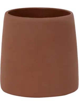 Sofia XS Peacan Brown
