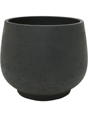 Mini Pixie M Black Washed