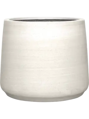 Jumbo Patt XXS Ivory Washed